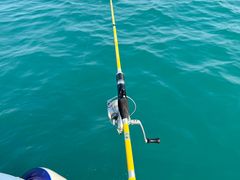 -小猫钓鱼海钓俱乐部(椰梦长廊店)