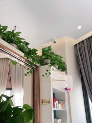 -尚艺造型.剪烫染.接发