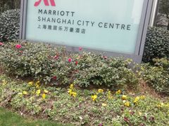 -上海雅居乐万豪侯爵酒店