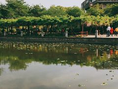 -嘉定紫藤园
