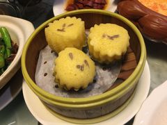 马拉糕-老广酒楼(樱花店)