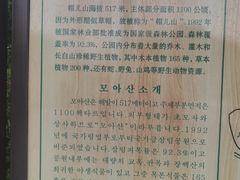 -帽儿山国家森林公园