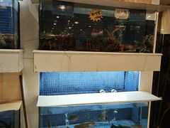 -益利大酒楼(井岸店)