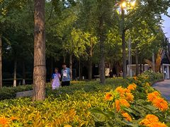 -郑州植物园
