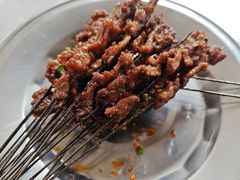 -杨记烤肉老店