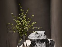 -一朵菌·野生菌探索家火锅(南亚店)