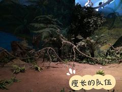 -自贡恐龙博物馆