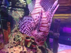 -沈阳海洋探索中心