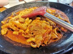 八爪鱼微辣-红辣椒八爪鱼特色韩国料理