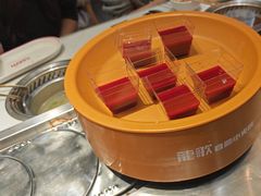 -龍歌自助小火锅(秦淮水游城店)