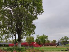 -杭州湾海上花田景区