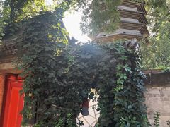 -正阳书局(西四南大街店)