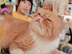 -平行世界·猫咖(首经贸店)