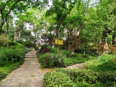 -白鹭洲公园