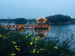 -上海市保健医疗中心(华东疗养院)