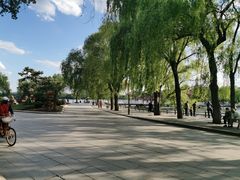 -长春市南湖公园