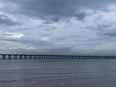 -宝安西湾红树林湿地公园