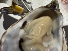 -Oyster Talks 四度蚝法餐厅