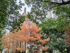 -苏州河梦清园环保主题公园