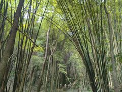-凤栖山