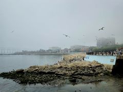 -黑石礁公园