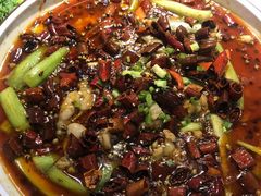 -雲蜀龙阁·金牌水煮鱼(方庄店)