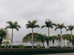 -黄金海岸环岛路