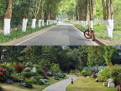 -东莞植物园