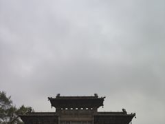 -北陵公园