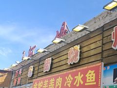 -布尔津河堤夜市