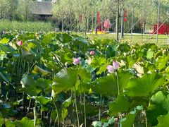 -渭南桃花源民俗文化园