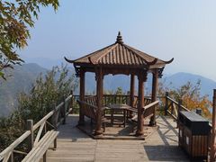 -大岭沟猕猴桃谷风景区