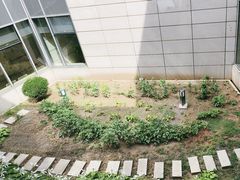 -天津市泰达医院