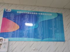 -宠颐生贝利健动物医院(谢家湾分院)
