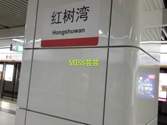 -红树湾(地铁站)