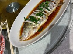 -金美华轩(东方路齐鲁店)