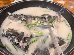 千岛湖野生有机鱼-丰乐餐厅·始于1999·本地老字号