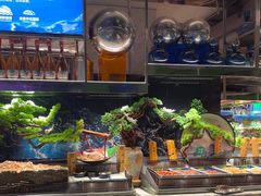 -亚马逊海鲜自助(万象汇店)