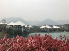 -帐篷客·溪龙茶谷度假酒店