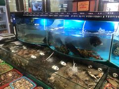 -海港酒店(海鲜美食城店)