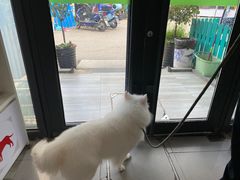 -爱侣宠医·鹦鹉专科·小型哺乳类·异宠专科(灵石路店)