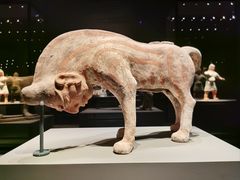 -大同市博物馆