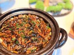 -香乐园·淮扬菜中餐厅·Shang Garden(福田香格里拉店)