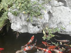 -八大山人梅湖景区