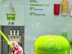 -Salud撒露欧洲冻酸奶(五道口购物中心店)