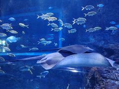 -秦皇岛新澳海底世界