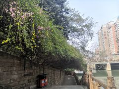-成都市活水公园