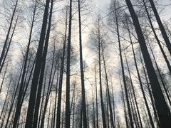 -上海怡沁园度假酒店
