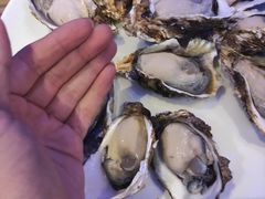 深海黄金蚝-千岛蚝高压锅生蚝·人参火锅(白云万达店)