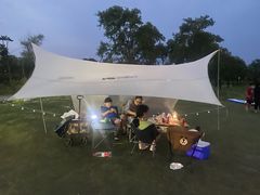 -春花秋色城市公园